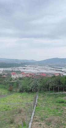270متر زمین دارای ویو عالی بالای تپه در گروه خرید و فروش املاک در مازندران در شیپور-عکس1
