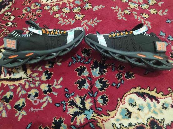 کفش آادیداس آمریکایی اصل43 در گروه خرید و فروش لوازم شخصی در اصفهان در شیپور-عکس1