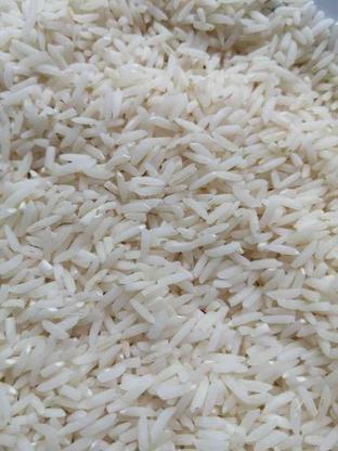 برنج طارم هاشمی اصل در گروه خرید و فروش خدمات و کسب و کار در مازندران در شیپور-عکس1