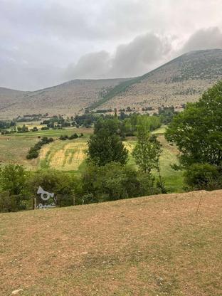 زمین زراعی 3200 متر واقع در نوشهر کجور در گروه خرید و فروش املاک در مازندران در شیپور-عکس1