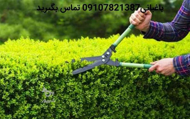 خدمات باغبانی و گلکاری تعویض خاک گلدن در گروه خرید و فروش خدمات و کسب و کار در تهران در شیپور-عکس1