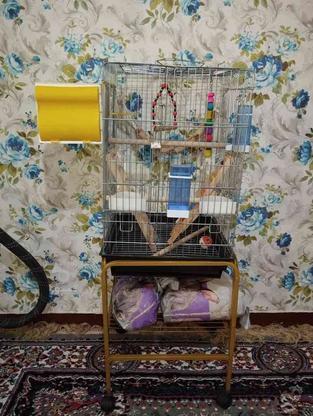 قفس 1033 با پایه و باکس حمل و ... در گروه خرید و فروش ورزش فرهنگ فراغت در تهران در شیپور-عکس1
