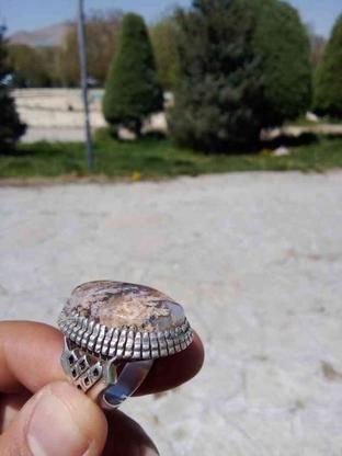 انگشتر نقره شجر بهاری کمیاب در گروه خرید و فروش لوازم شخصی در آذربایجان غربی در شیپور-عکس1