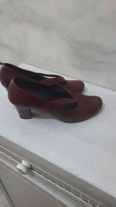 کفش چرم اصل تبریز سایز41 در گروه خرید و فروش لوازم شخصی در مازندران در شیپور-عکس1