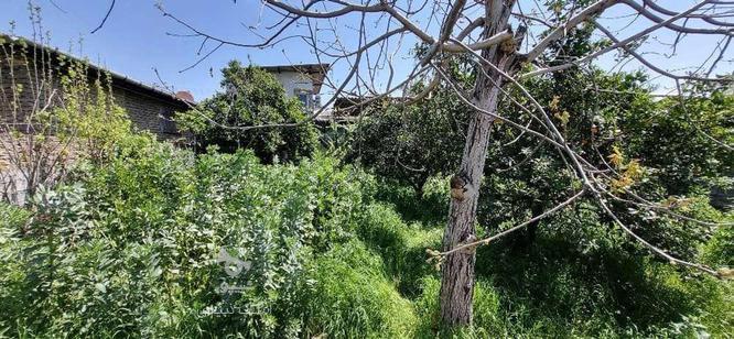 خانه سرا 430 متری مهدی آباد سندتک برگ در گروه خرید و فروش املاک در مازندران در شیپور-عکس1