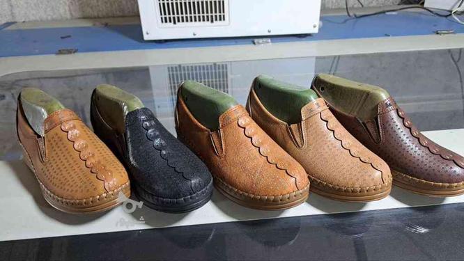کفش های زنانه می‌باشد همه سایز موجود می باشد در گروه خرید و فروش خدمات و کسب و کار در خراسان رضوی در شیپور-عکس1