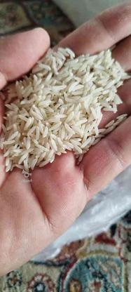 فروش برنج ونیم دانه در گروه خرید و فروش خدمات و کسب و کار در گلستان در شیپور-عکس1