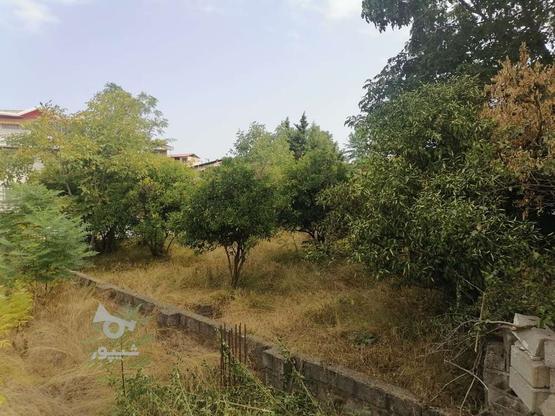 زمین مسکونی 350 متر با سند شش دانگ در گروه خرید و فروش املاک در مازندران در شیپور-عکس1