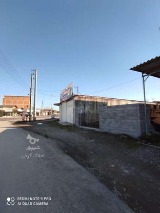 ملک تجاری کاله سند6دانگ 221 متر در گروه خرید و فروش املاک در مازندران در شیپور-عکس1