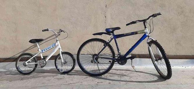 دوچرخه سالم در گروه خرید و فروش ورزش فرهنگ فراغت در تهران در شیپور-عکس1