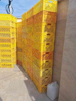 یخچال.جعبه ی پلاستیکی.مرغی در گروه خرید و فروش وسایل نقلیه در مازندران در شیپور-عکس1