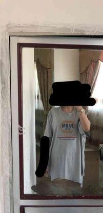 تی شرت خارجی نو در گروه خرید و فروش لوازم شخصی در خراسان رضوی در شیپور-عکس1