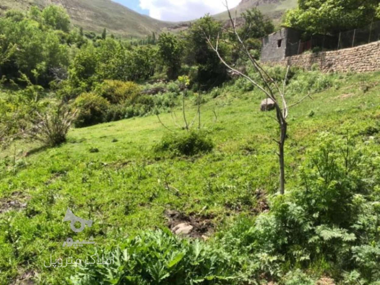  زمین مسکونی 210 متر در ییلاق آبگرم لاریجان تهاتر در گروه خرید و فروش املاک در مازندران در شیپور-عکس1