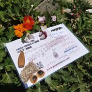 مهره مار اصل شاه کبری +سنگ سلیمانی