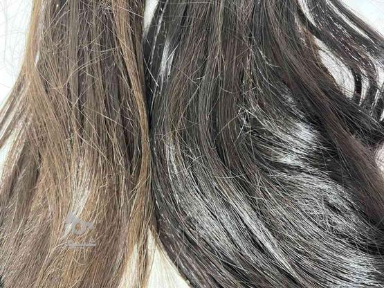 فروش موی طبیعی برای اکستنشن در گروه خرید و فروش لوازم شخصی در مازندران در شیپور-عکس1