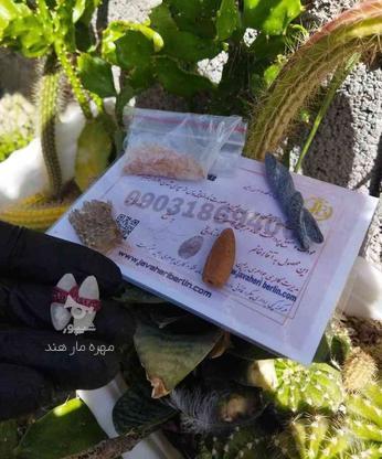 مهره مار اصل برنجی سفید زنگی باضمانت نامه در گروه خرید و فروش لوازم شخصی در اصفهان در شیپور-عکس1