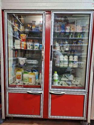 یخچال 4 درب ایستاده ویترینی در گروه خرید و فروش صنعتی، اداری و تجاری در البرز در شیپور-عکس1