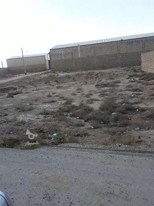 زمین دونبش 620 متر در گروه خرید و فروش املاک در یزد در شیپور-عکس1