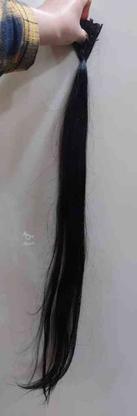 58شاخه موی طبیعی 80 سانتی در گروه خرید و فروش لوازم شخصی در مازندران در شیپور-عکس1