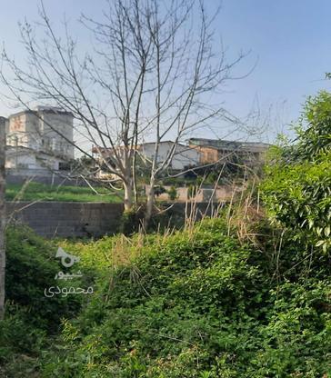 فروش زمین مسکونی 207 متر در چالوس رینگ 45 متری در گروه خرید و فروش املاک در مازندران در شیپور-عکس1