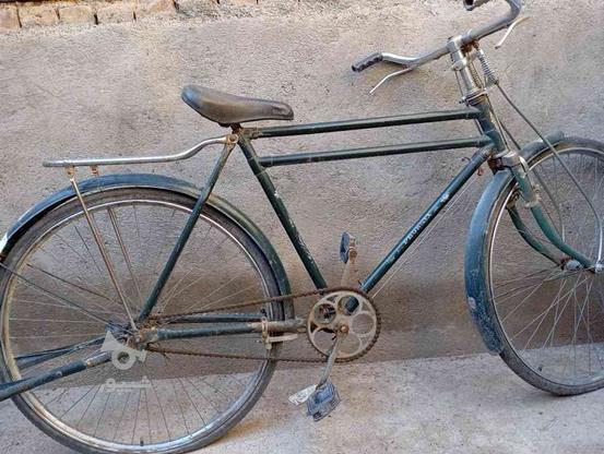دوچرخه چینی در گروه خرید و فروش ورزش فرهنگ فراغت در خراسان رضوی در شیپور-عکس1