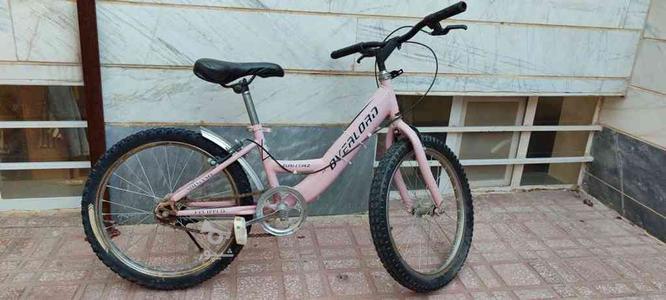 دوچرخه بیست در گروه خرید و فروش ورزش فرهنگ فراغت در زنجان در شیپور-عکس1