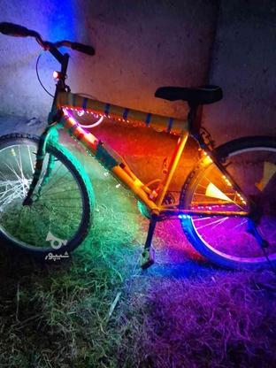 ویوا سایز 26 دوچرخه هم نمیز وسالم در گروه خرید و فروش ورزش فرهنگ فراغت در مازندران در شیپور-عکس1