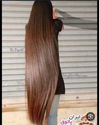 خرید موی طبیعی با بالاترین قیمت در گروه خرید و فروش لوازم شخصی در گیلان در شیپور-عکس1