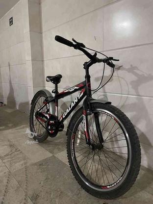 دوچرخه نو و تمیز بدون عیب سایز 24 در گروه خرید و فروش ورزش فرهنگ فراغت در مازندران در شیپور-عکس1