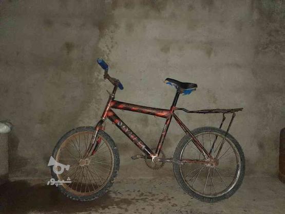 دوچرخه 20 فروش فوری در گروه خرید و فروش ورزش فرهنگ فراغت در سیستان و بلوچستان در شیپور-عکس1
