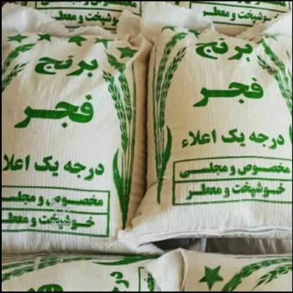 برنج فجر درجه یک در گروه خرید و فروش خدمات و کسب و کار در خراسان رضوی در شیپور-عکس1