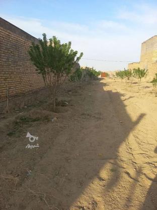 1500متر زمین باغی در گروه خرید و فروش املاک در خراسان رضوی در شیپور-عکس1