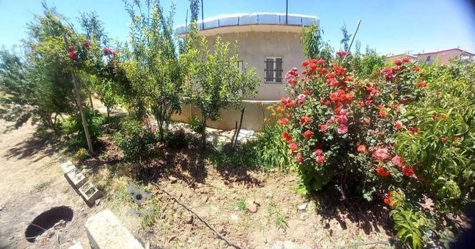 فروش باغ 5500 متر خانه باغ استخر دار بهر جاده در گروه خرید و فروش املاک در زنجان در شیپور-عکس1