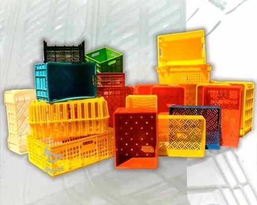 متنوع ترین مجموعه سبد های پلاستیکی در گروه خرید و فروش خدمات و کسب و کار در مازندران در شیپور-عکس1