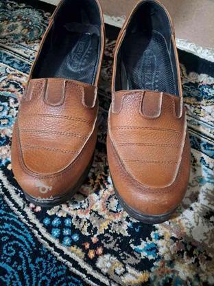 کفش تمیز و سالم در گروه خرید و فروش لوازم شخصی در تهران در شیپور-عکس1