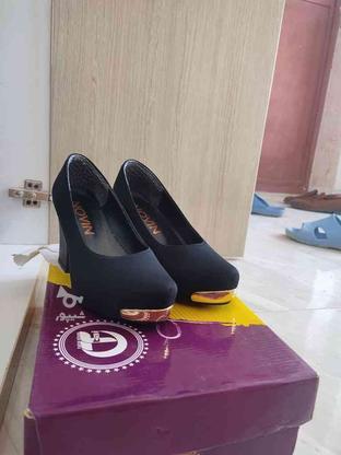 کفش مجلسی زنانه در گروه خرید و فروش لوازم شخصی در کرمانشاه در شیپور-عکس1