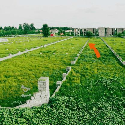 فروش زمین شهرکی 267 متری بدون معارض در گروه خرید و فروش املاک در گیلان در شیپور-عکس1