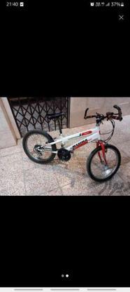 دوچرخه ماکسیما سالم در گروه خرید و فروش ورزش فرهنگ فراغت در تهران در شیپور-عکس1