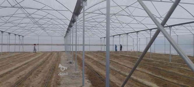 سازه گلخانه در گروه خرید و فروش صنعتی، اداری و تجاری در خراسان رضوی در شیپور-عکس1