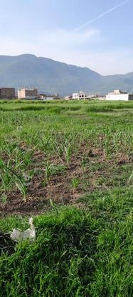 200متر زمین هنوز مجوز نداره در گروه خرید و فروش املاک در گلستان در شیپور-عکس1