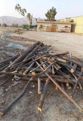 خرید وفروش چوب الات باغی در گروه خرید و فروش خدمات و کسب و کار در فارس در شیپور-عکس1