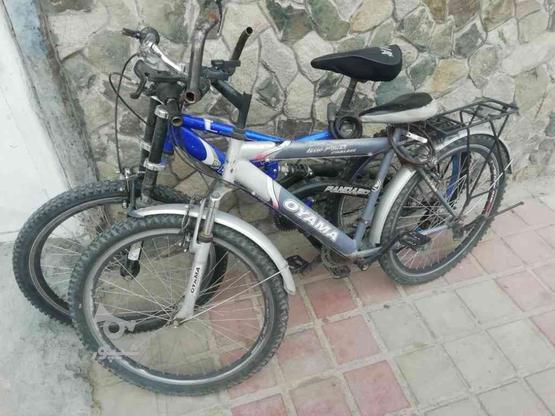 انواع دوچرخه سایز12 تا 26 در گروه خرید و فروش ورزش فرهنگ فراغت در خراسان رضوی در شیپور-عکس1