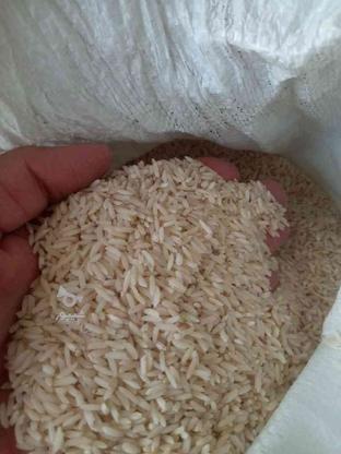 برنج دمسیاه کلات عطری اورگانیک به شرط پخت در گروه خرید و فروش خدمات و کسب و کار در خراسان رضوی در شیپور-عکس1