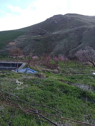 فروش زمین کشاورزی در گروه خرید و فروش املاک در کردستان در شیپور-عکس1