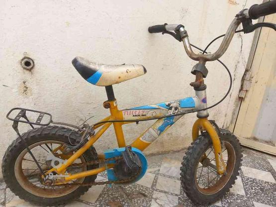 دوچرخه بچگانه در گروه خرید و فروش ورزش فرهنگ فراغت در مازندران در شیپور-عکس1