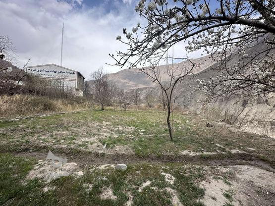 250متر زمین واقع در کهرود در گروه خرید و فروش املاک در مازندران در شیپور-عکس1