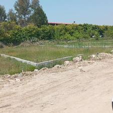 زمین مسکونی 300متر(منطقه شهرکی نشین)سند6دانگ