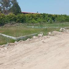 زمین مسکونی سنددار290مترشهرکی نشین(ویودریاچه)