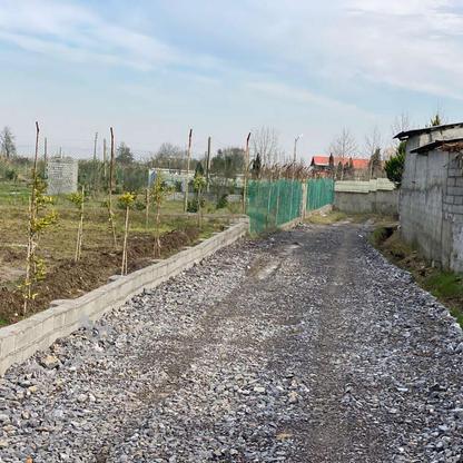 فروش زمین مسکونی 150 متر در دشت سر در گروه خرید و فروش املاک در مازندران در شیپور-عکس1