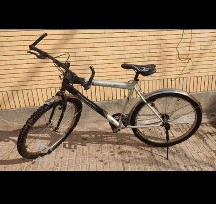 دوچرخه ماکسیما در گروه خرید و فروش ورزش فرهنگ فراغت در خراسان رضوی در شیپور-عکس1